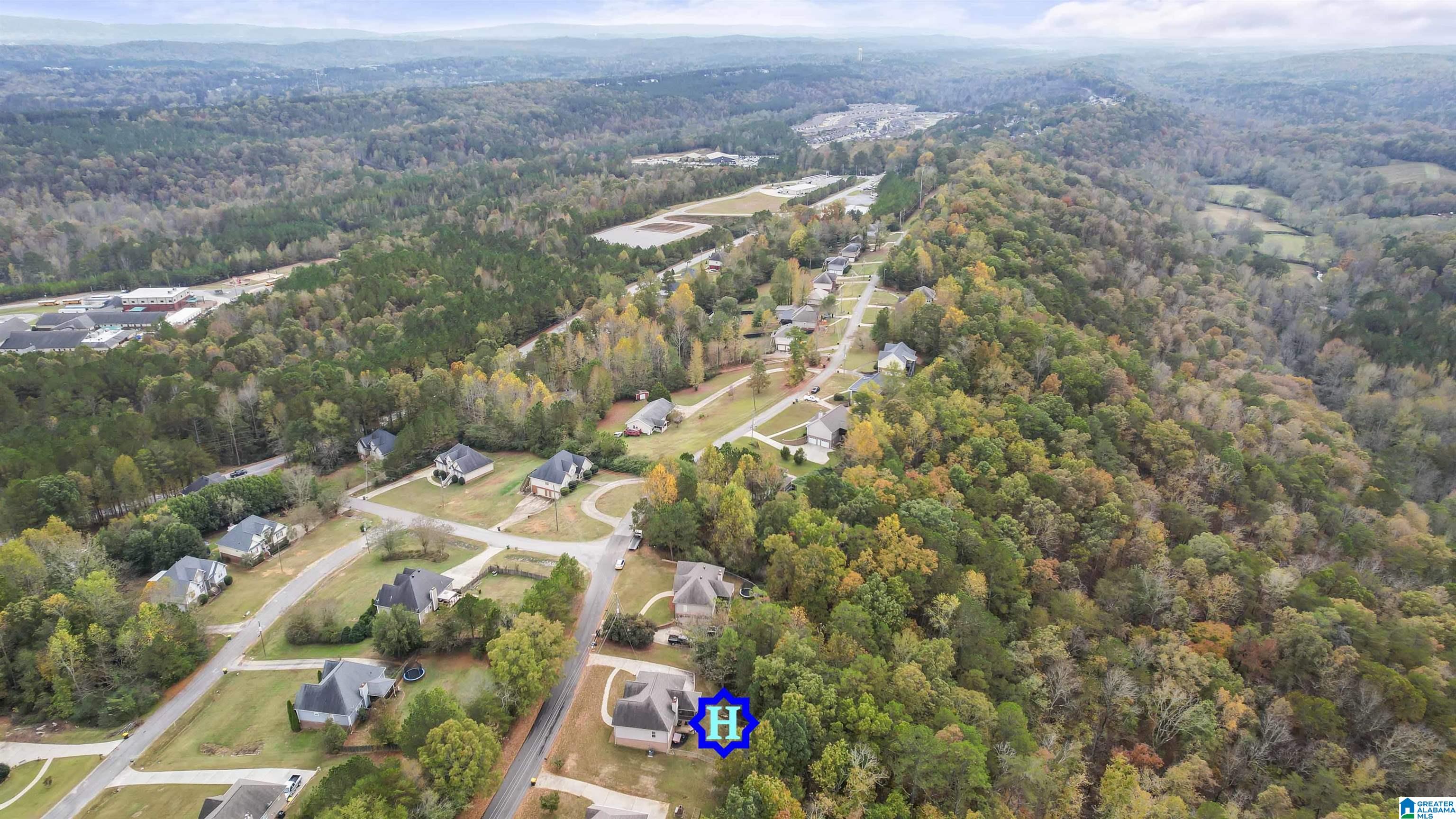 577 Levine Road Odenville, AL 35120 - Photo 42 of 44