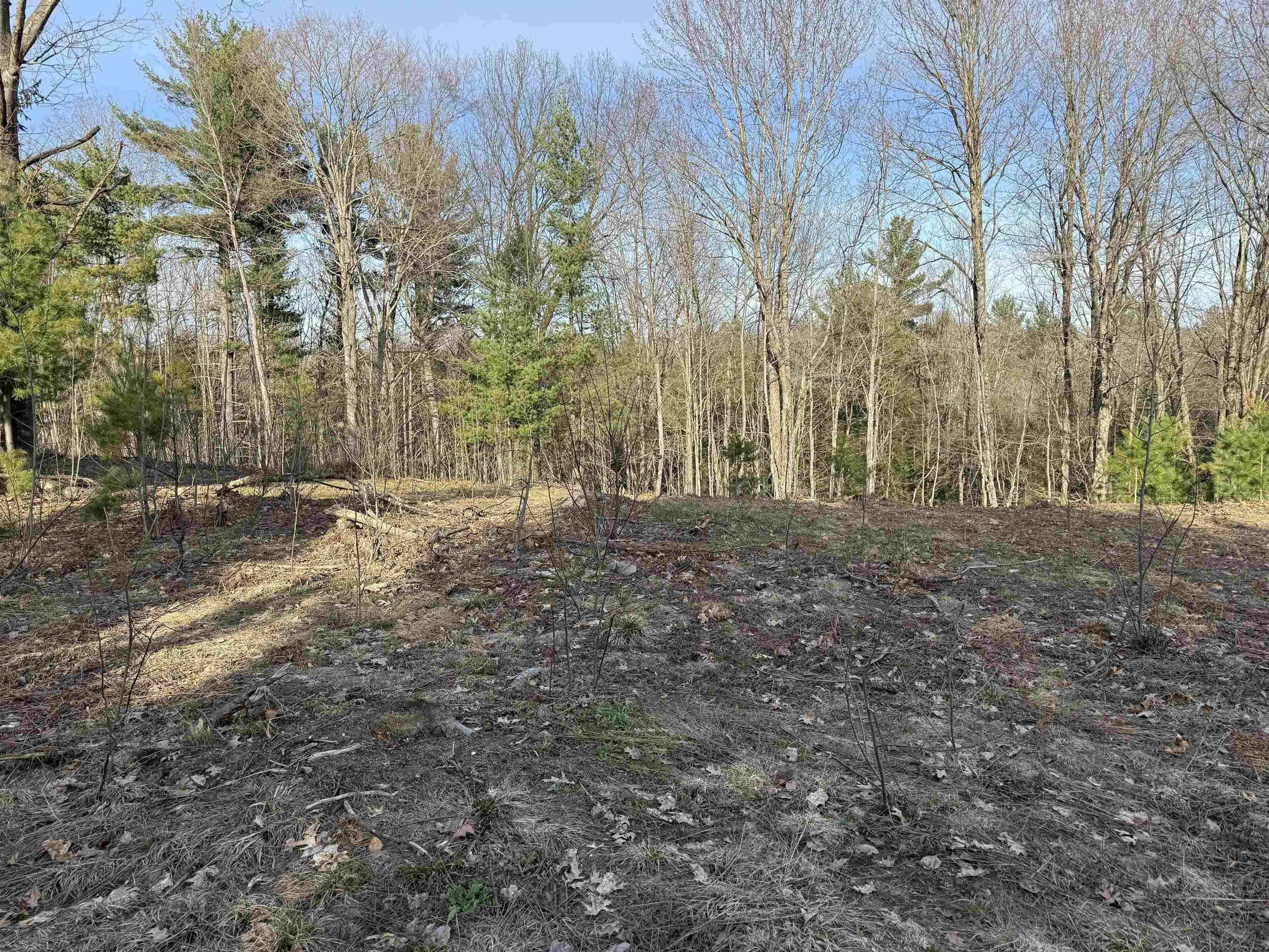 Parcel D North Carmean Road Interlochen, MI 49643 - Photo 6 of 12