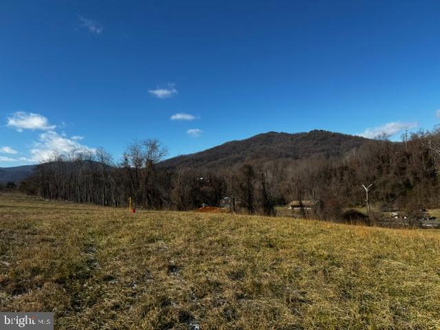 0 Woodward Road Sperryville, VA 22740 - Photo 4 of 22 Views to the North