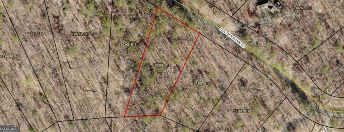 Lot 92 Doll Mountain Road Ellijay, GA 30540 - Photo 9 of 10