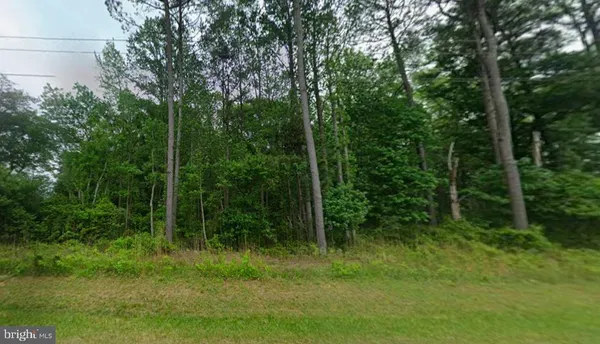 a view of outdoor space and green space