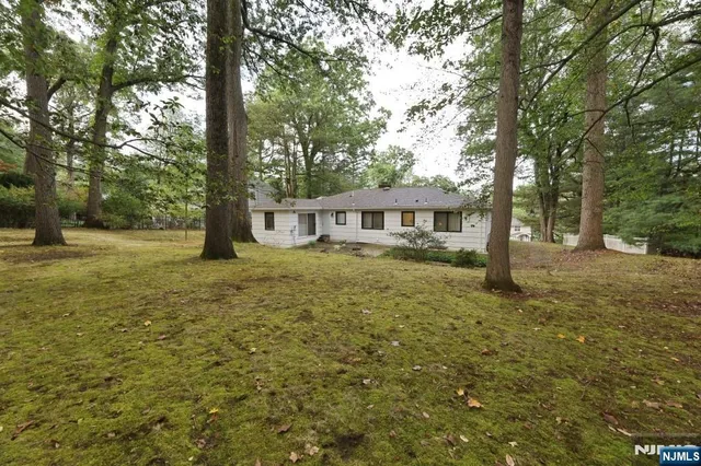 a view of a yard with a tree