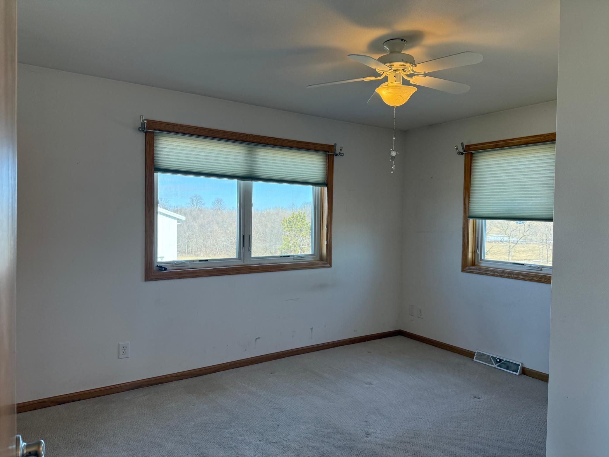 W3844 650th Avenue Spring Valley, WI 54767 - Photo 48 of 90