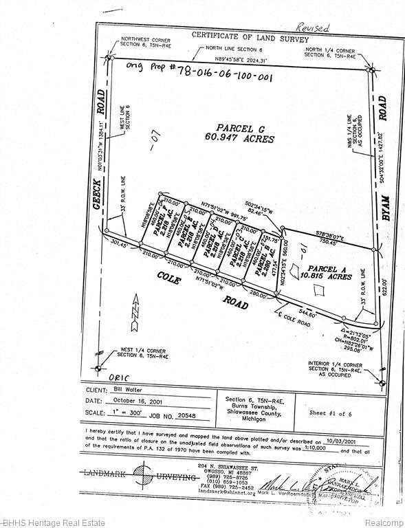 Lot F East Lot F Cole Road Bancroft, MI 48414 - Photo 2 of 2
