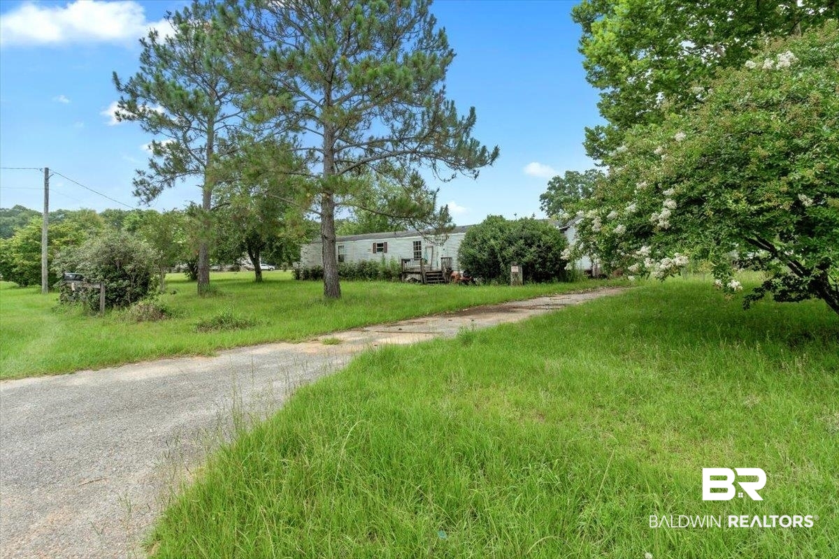 8296 Bennett Road North Grand Bay, AL 36541 - Photo 2 of 16 View of road