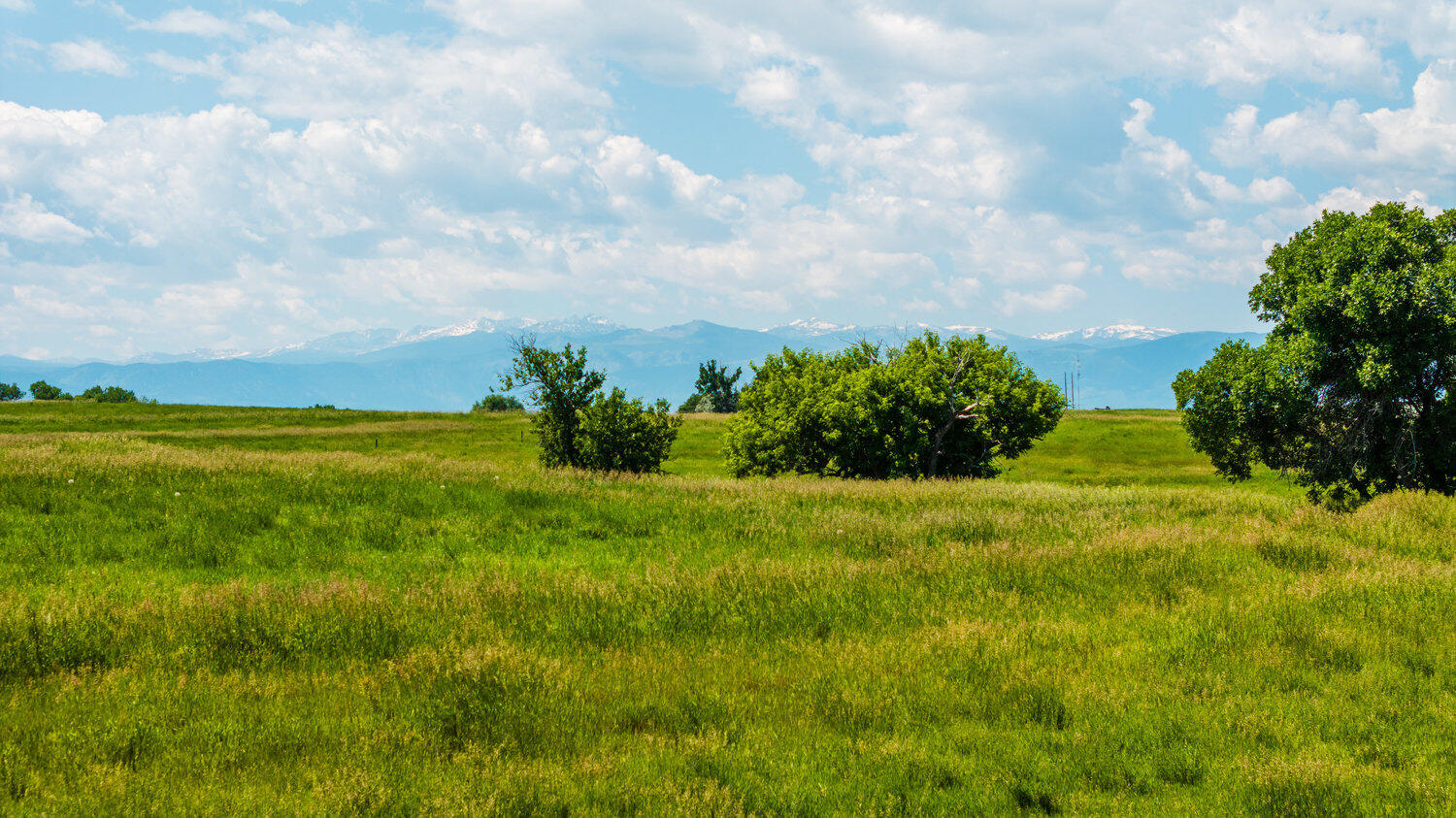 36 Lower Prairie Dog Road Sheridan, WY 82801 - Photo 16 of 41 008_dji_20250618111948_0260_d_359