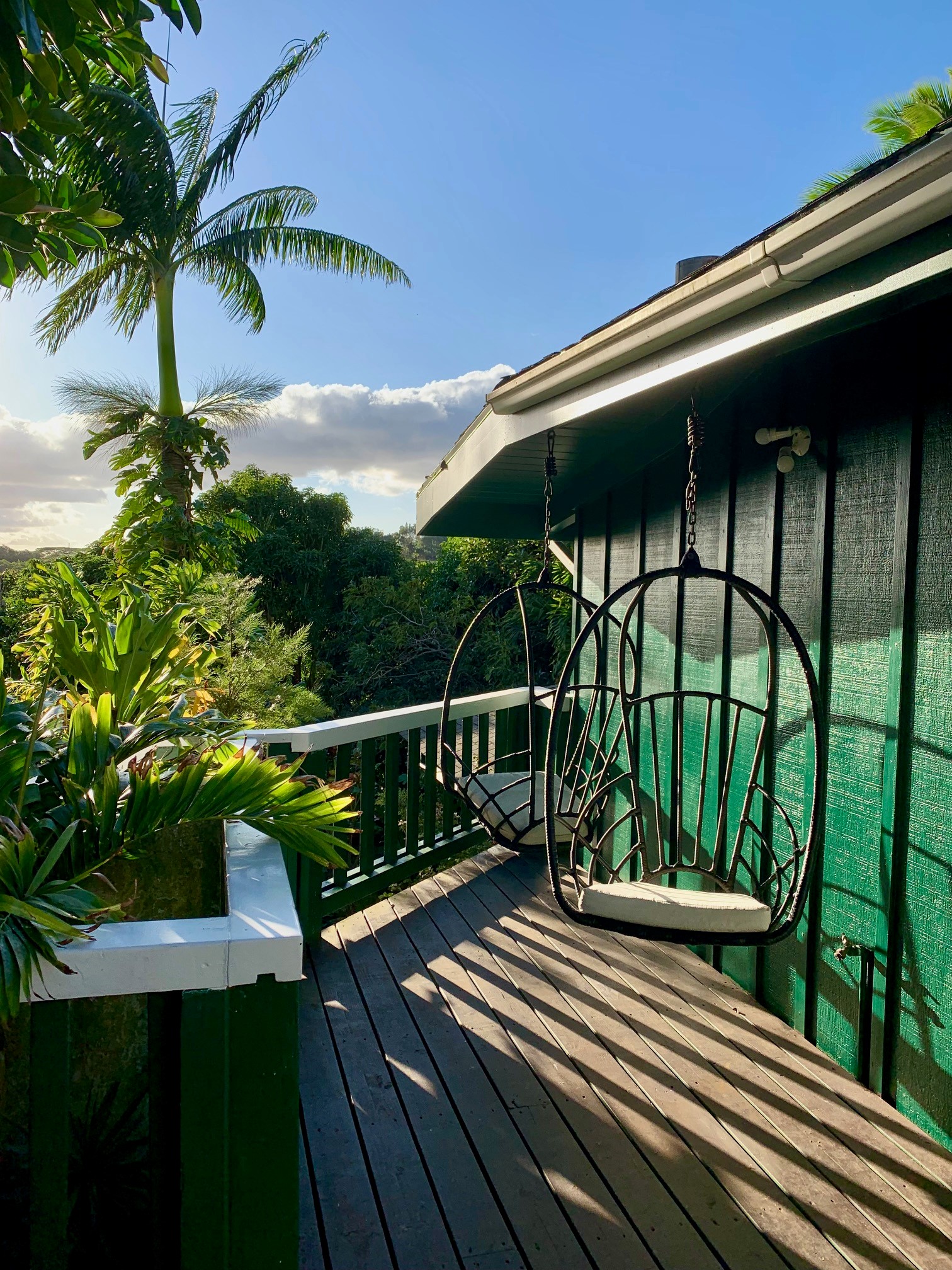 3198 Wawae Road Kalaheo, HI 96741 - Photo 16 of 30 a view of balcony with a potted plant