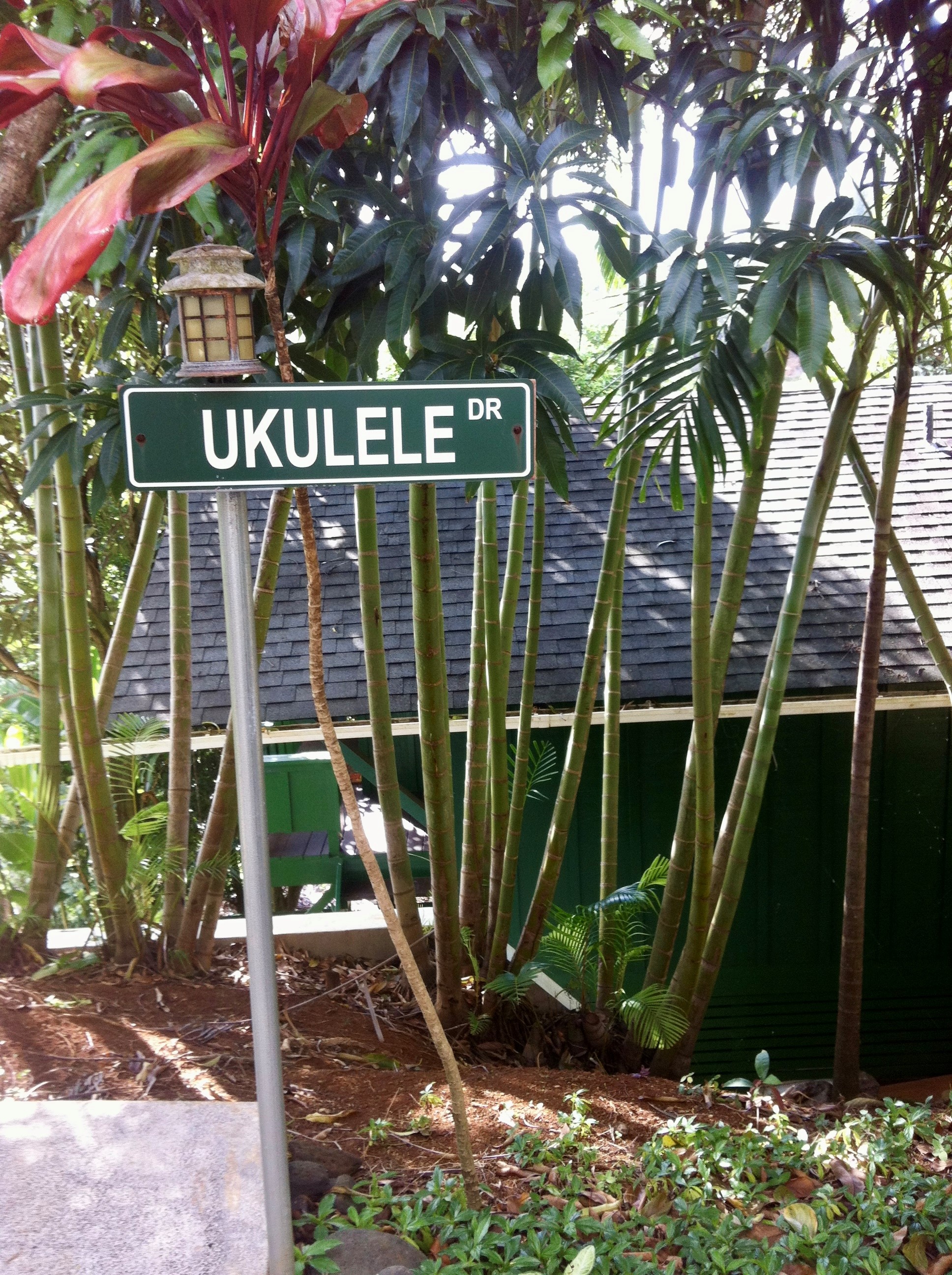3198 Wawae Road Kalaheo, HI 96741 - Photo 22 of 30 a view of a street with potted plants and large trees