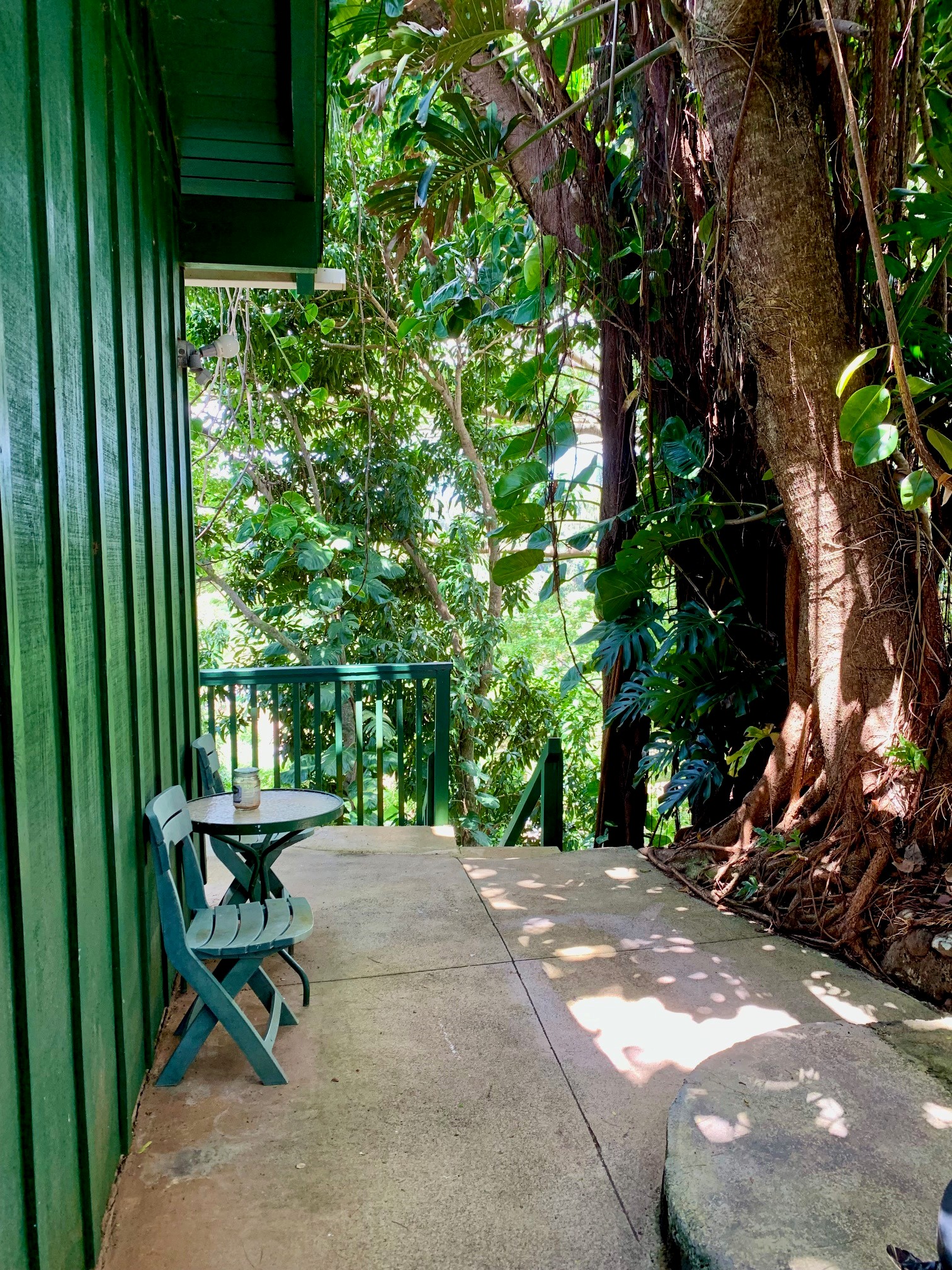 3198 Wawae Road Kalaheo, HI 96741 - Photo 26 of 30 a view of backyard with a large trees