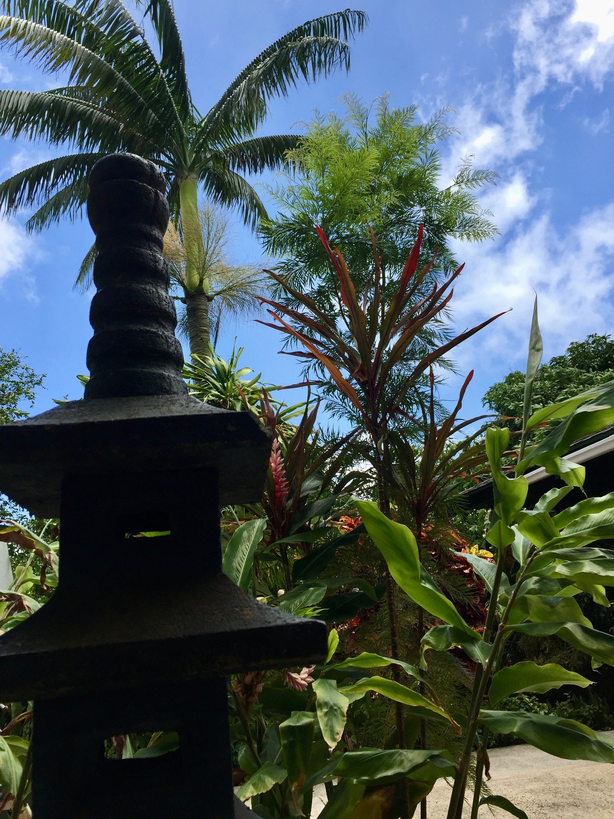 3198 Wawae Road Kalaheo, HI 96741 - Photo 30 of 30 a picture of plants