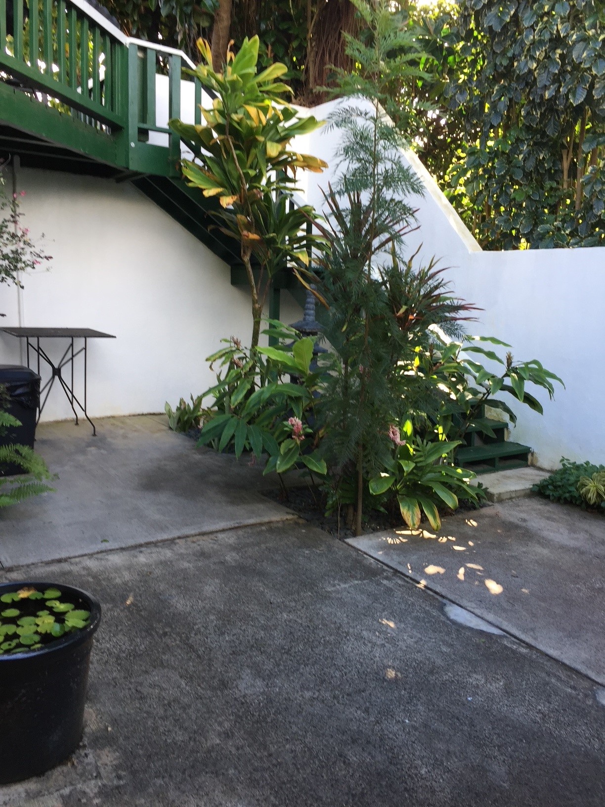 3198 Wawae Road Kalaheo, HI 96741 - Photo 10 of 30 a picture of a flower plants with wooden fence