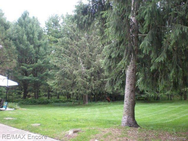 220 Shagbark Drive Rochester Hills, MI 48309 - Photo 8 of 28
