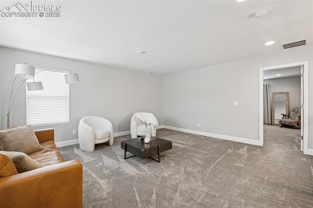 5157 Sirbal Drive Colorado Springs, CO 80924 - Photo 20 of 49