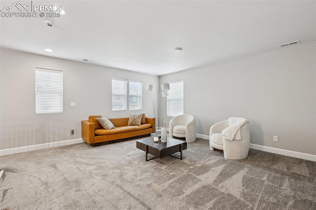 5157 Sirbal Drive Colorado Springs, CO 80924 - Photo 21 of 49