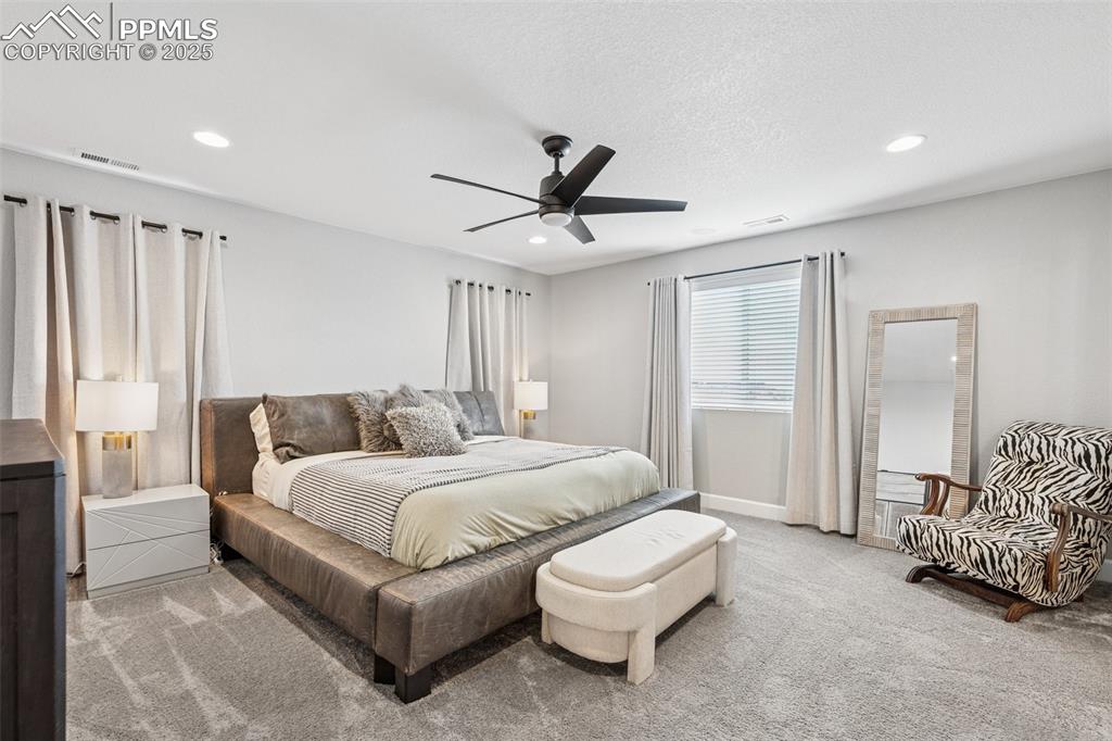 5157 Sirbal Drive Colorado Springs, CO 80924 - Photo 22 of 49