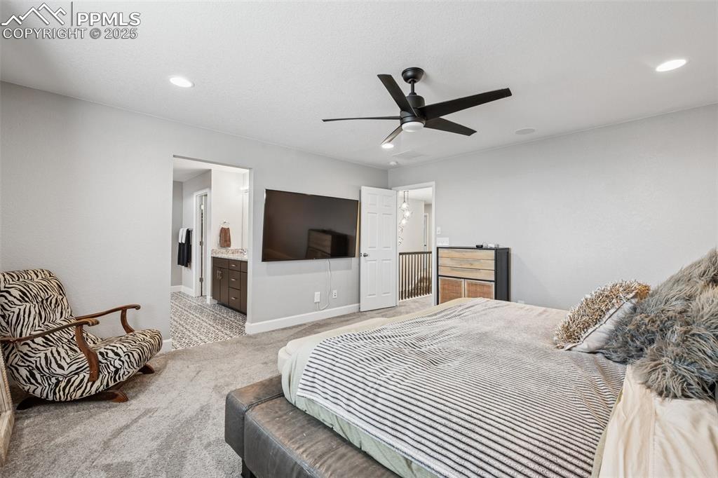 5157 Sirbal Drive Colorado Springs, CO 80924 - Photo 23 of 49