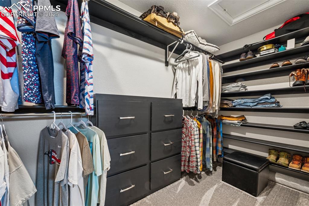 5157 Sirbal Drive Colorado Springs, CO 80924 - Photo 25 of 49