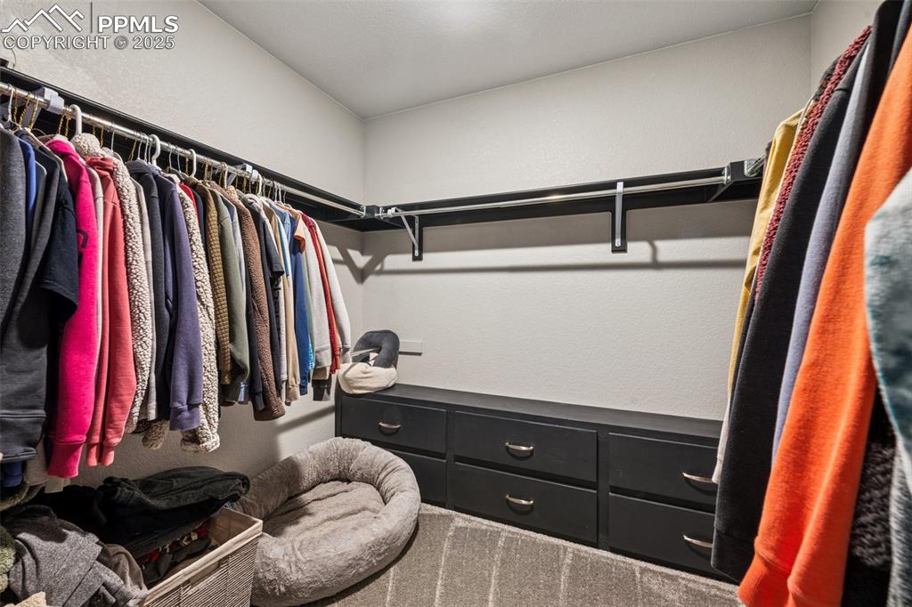 5157 Sirbal Drive Colorado Springs, CO 80924 - Photo 26 of 49