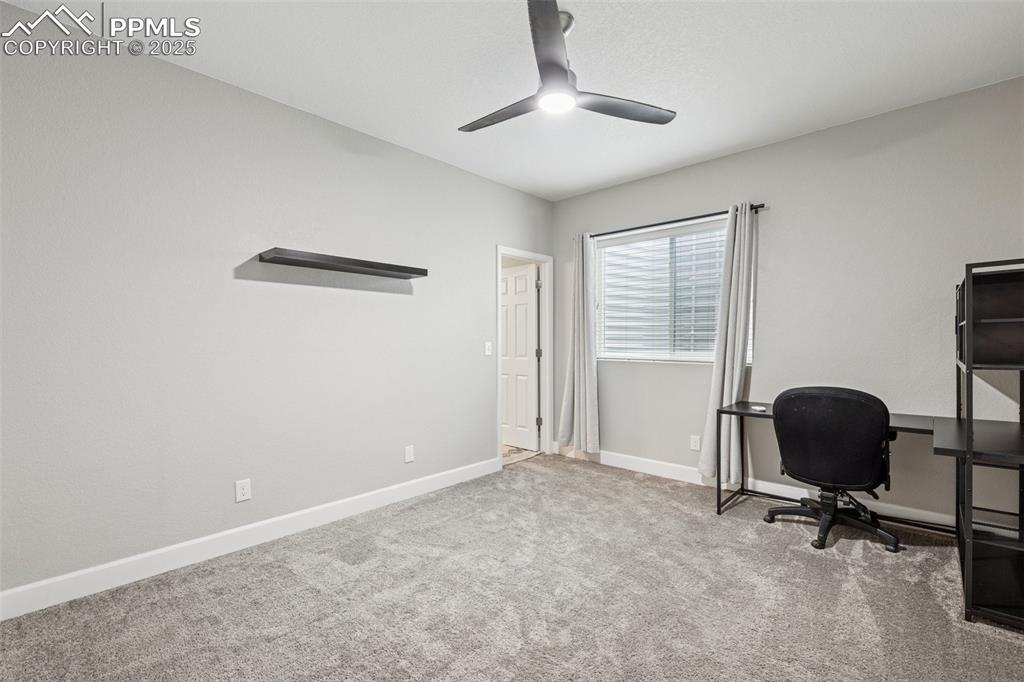 5157 Sirbal Drive Colorado Springs, CO 80924 - Photo 45 of 49