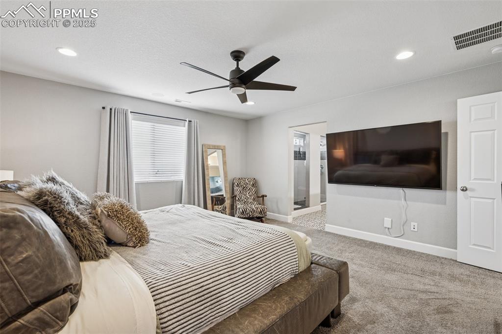 5157 Sirbal Drive Colorado Springs, CO 80924 - Photo 5 of 49