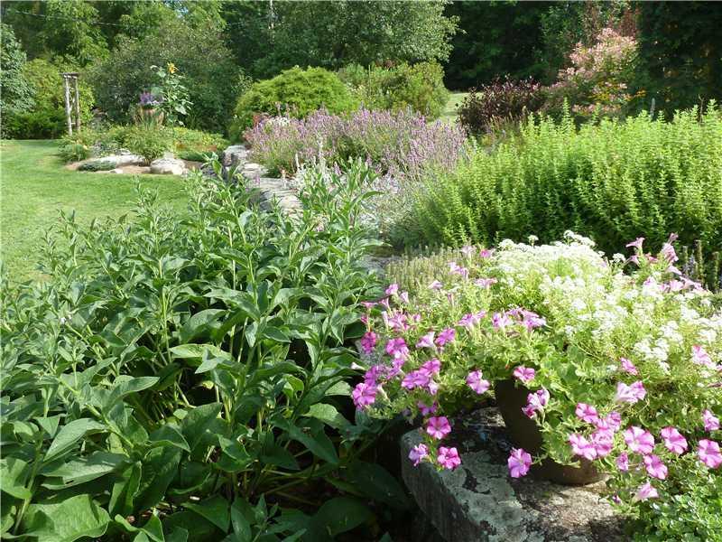 683 Sandy River Road Kents Hill, ME 04349 - Photo 31 of 35 Yard/Garden. Magical gardens everywhere!