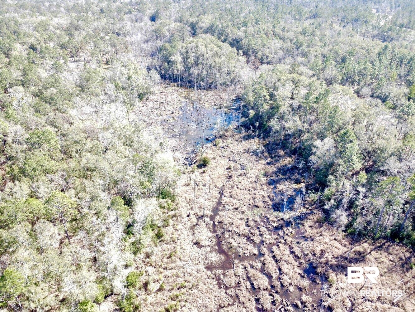 0 Dixon Road Bay Minette, AL 36507 - Photo 3 of 50