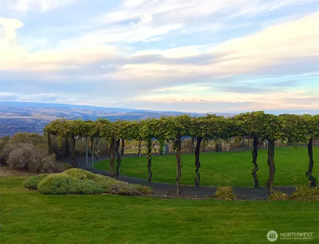 a view of swimming pool and trees in the background