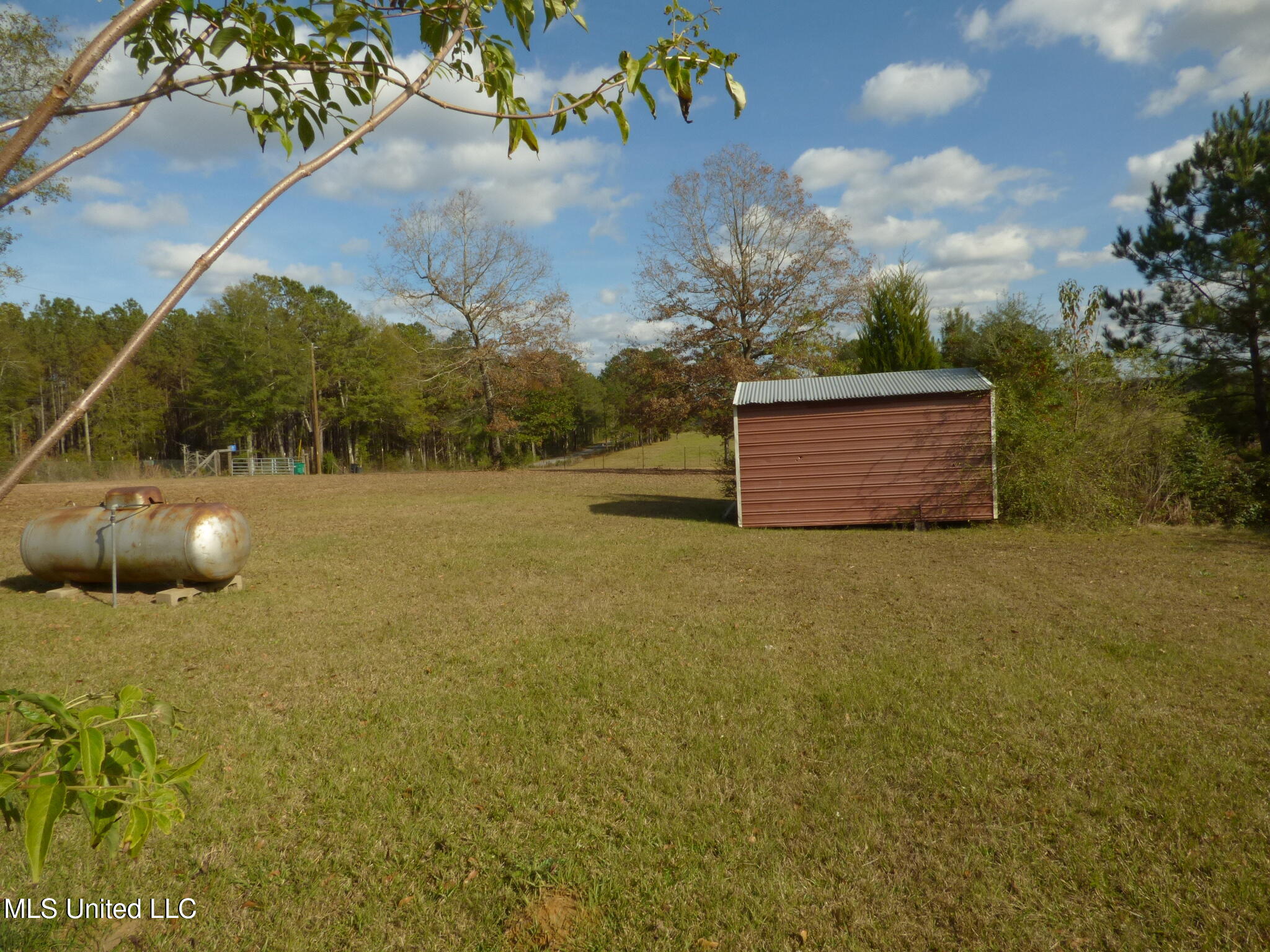 2848 Pleasant Grove Road Southeast Ruth, MS 39662 - Photo 12 of 13 P1340109