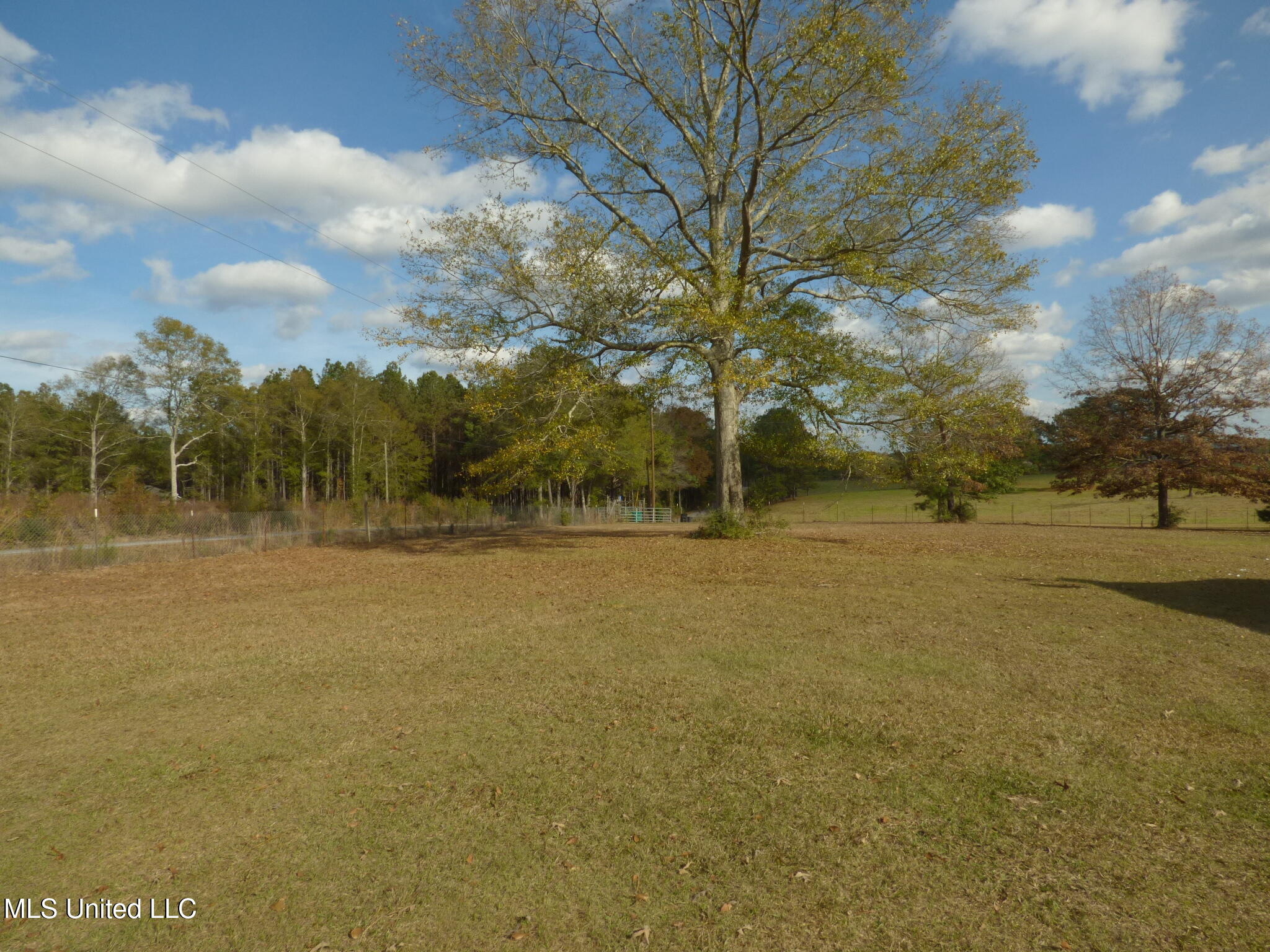 2848 Pleasant Grove Road Southeast Ruth, MS 39662 - Photo 13 of 13 P1340117