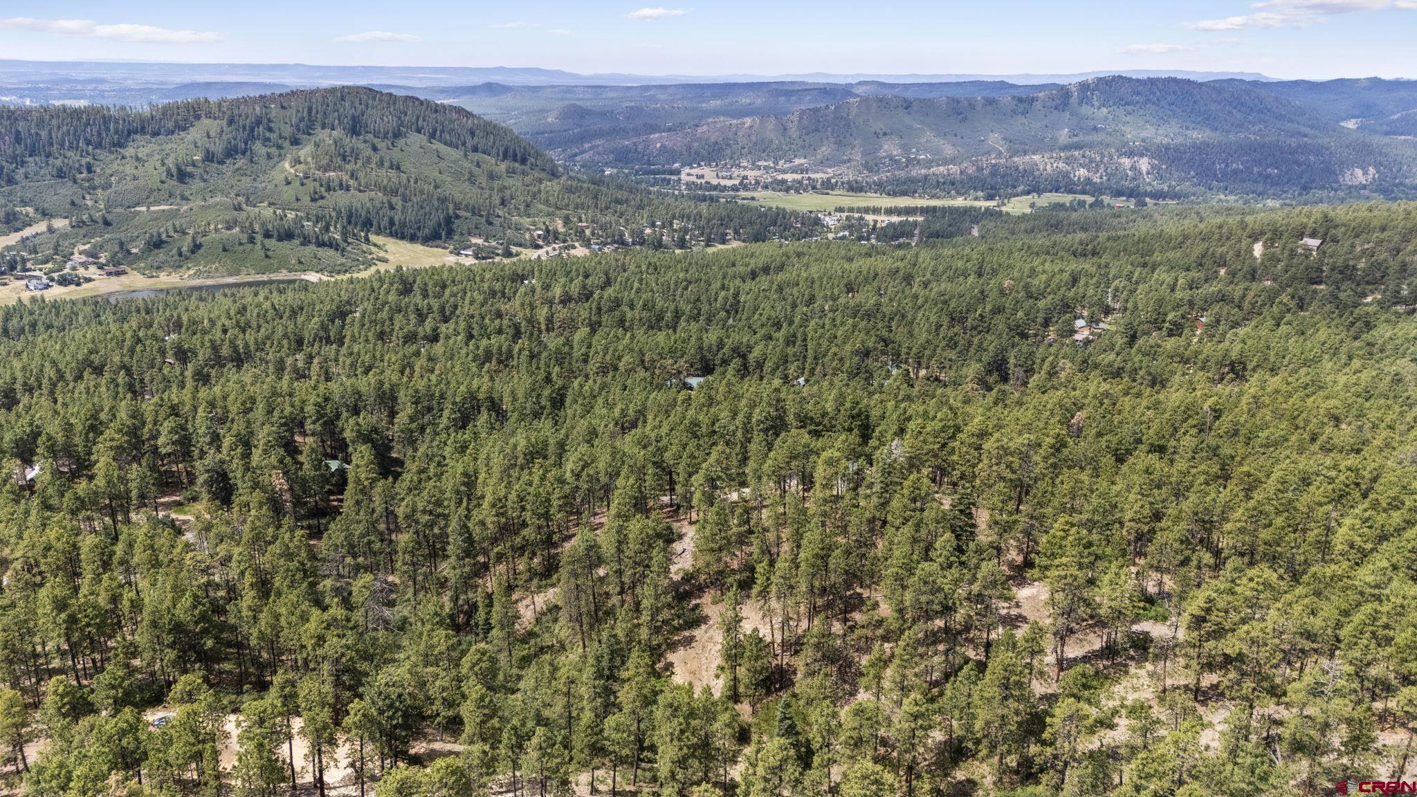 319 Blue Ridge Circle Bayfield, CO 81122 - Photo 11 of 15 a view of a lush green hillside and a building