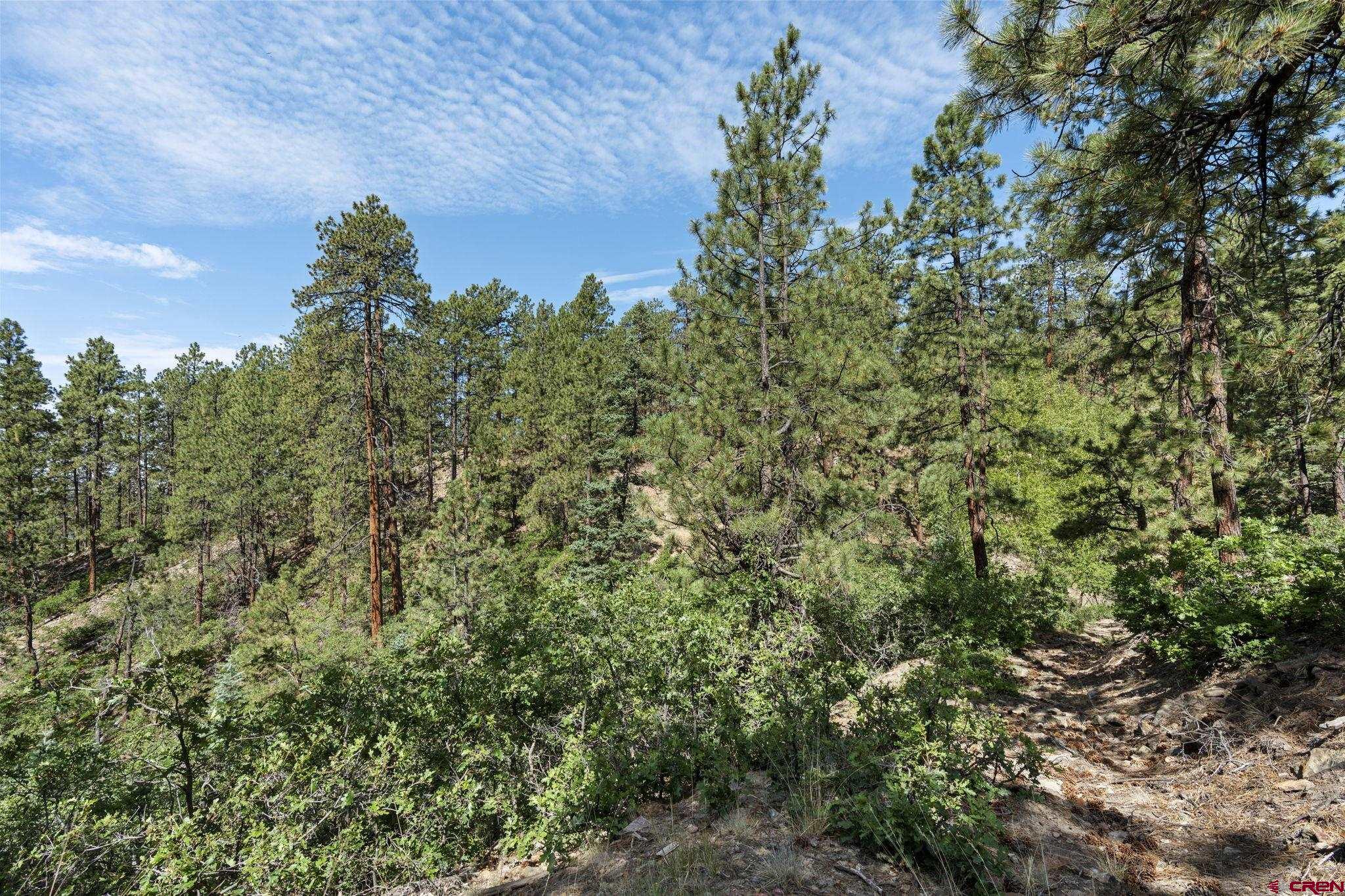 319 Blue Ridge Circle Bayfield, CO 81122 - Photo 13 of 15 a view of a green field