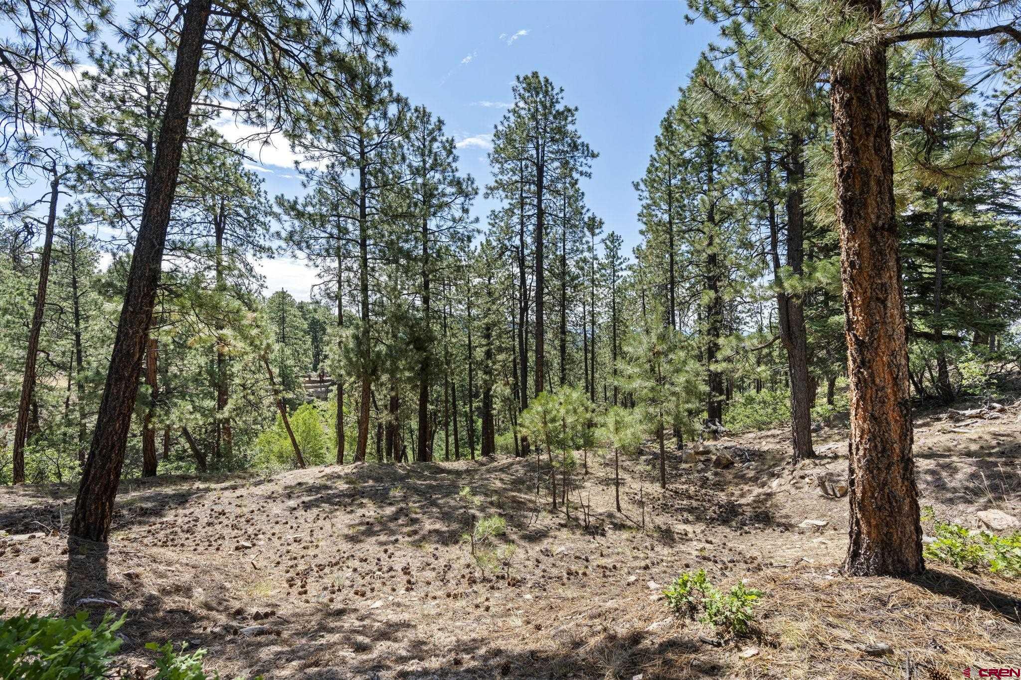 319 Blue Ridge Circle Bayfield, CO 81122 - Photo 15 of 15 a view of a forest with trees in the background