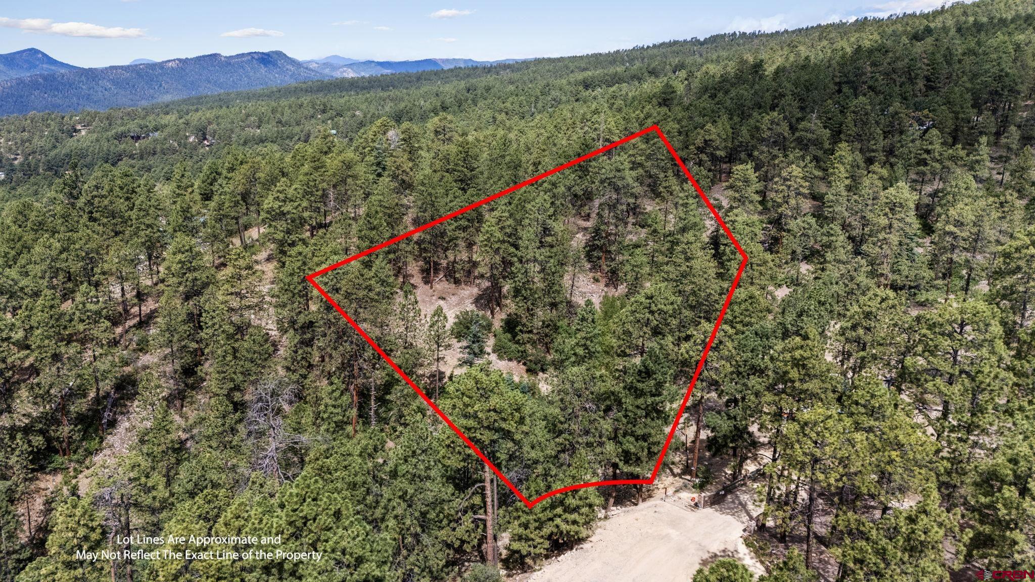 319 Blue Ridge Circle Bayfield, CO 81122 - Photo 2 of 15 a view of a forest with a mountain