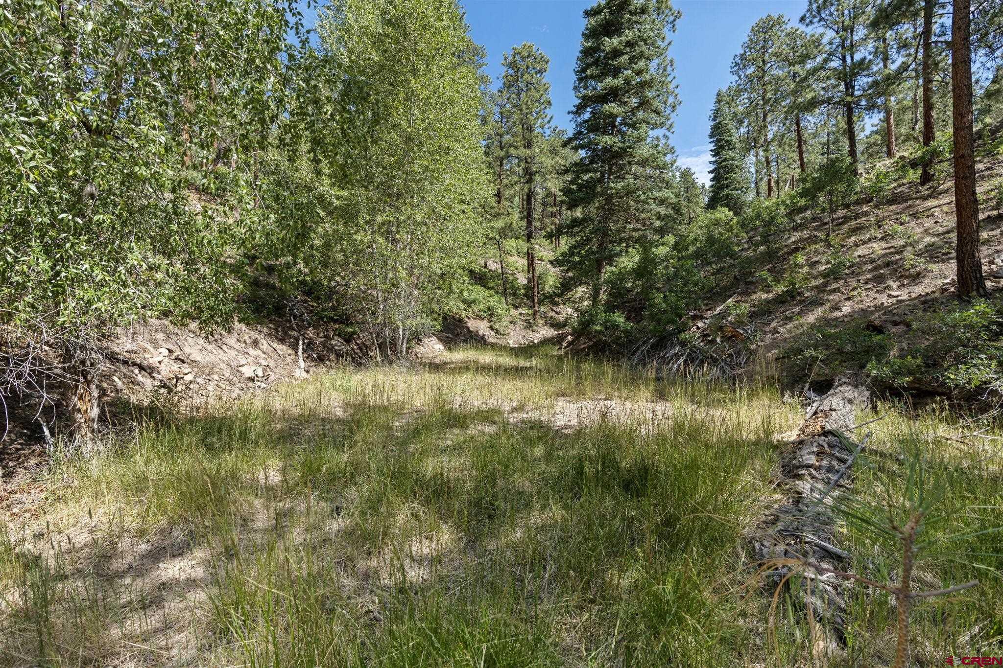 319 Blue Ridge Circle Bayfield, CO 81122 - Photo 4 of 15 a view of lake with green space