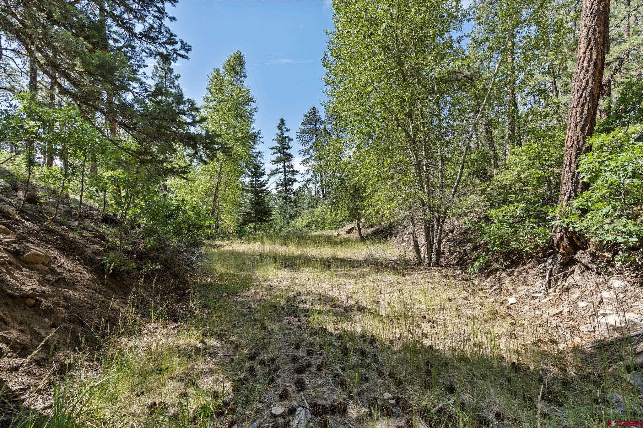 319 Blue Ridge Circle Bayfield, CO 81122 - Photo 6 of 15 a view of a forest with trees in the background
