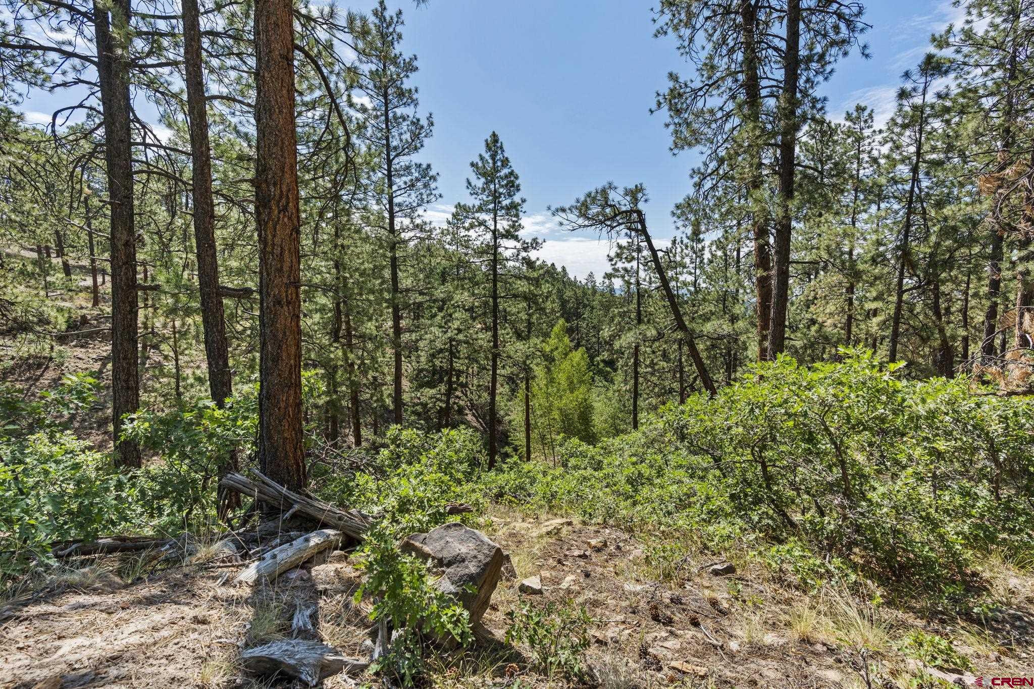 319 Blue Ridge Circle Bayfield, CO 81122 - Photo 7 of 15 a view of outdoor space and trees all around