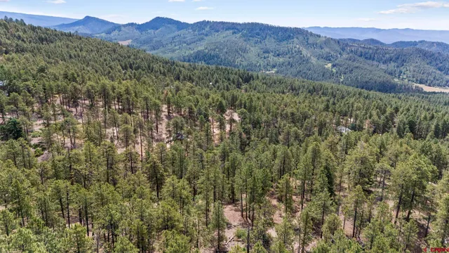 a view of a lush green hillside and a building