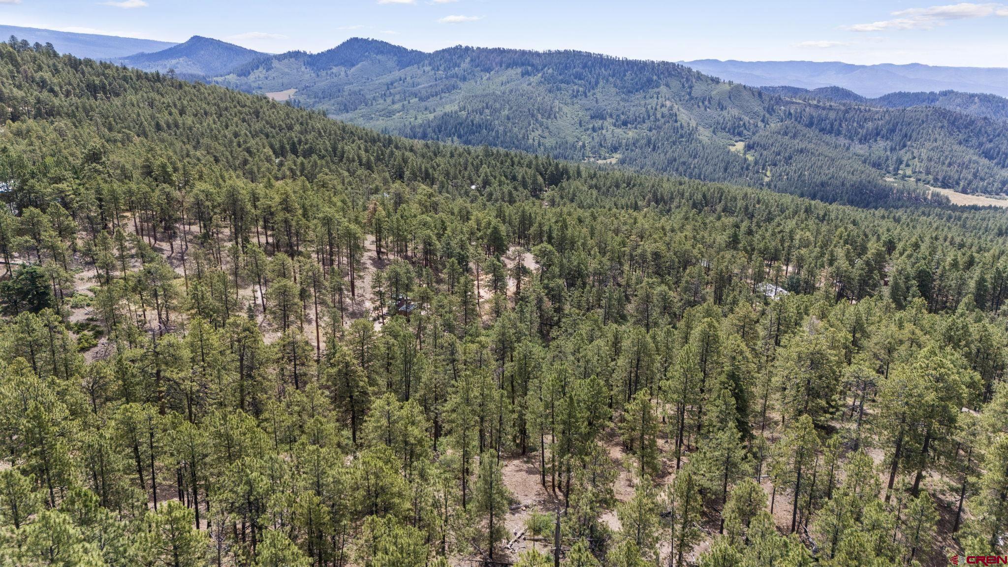 319 Blue Ridge Circle Bayfield, CO 81122 - Photo 10 of 15 a view of a lush green hillside and a building