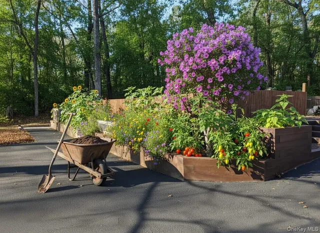 a potted plant sitting in front of a house