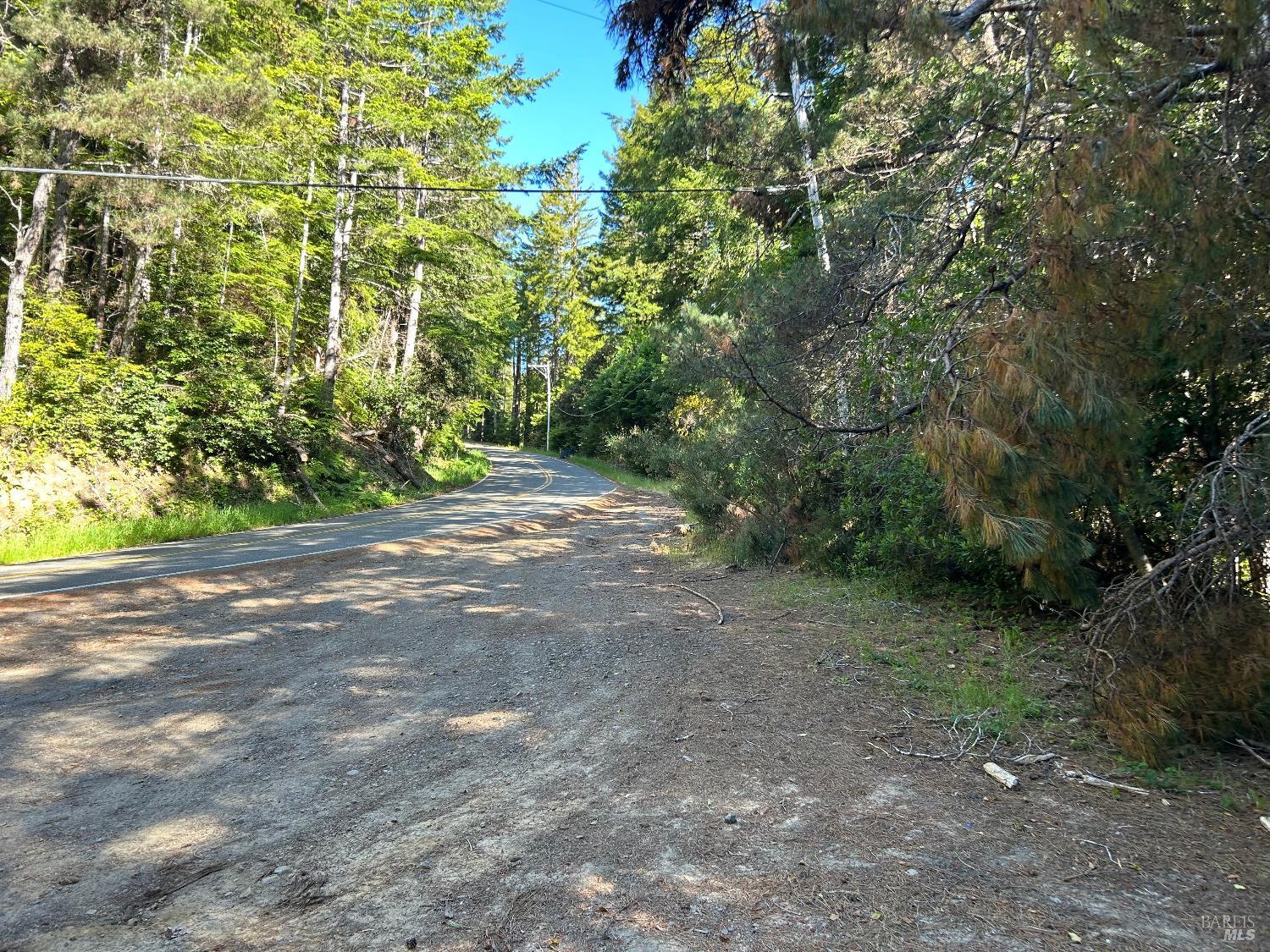 39700 Eureka Hill Road Point Arena, CA 95468 - Photo 1 of 11 a view of a field with plants and trees