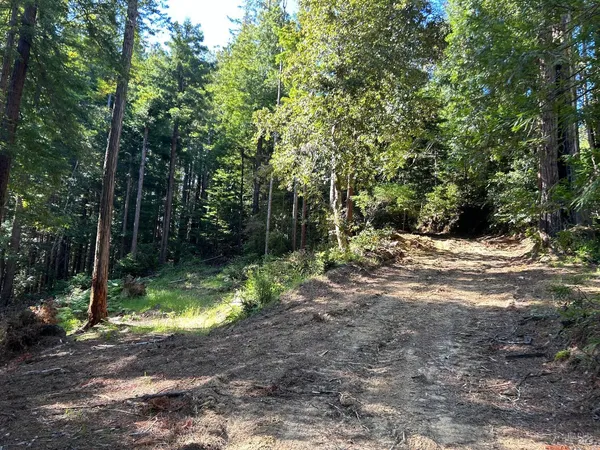 a view of backyard with green space