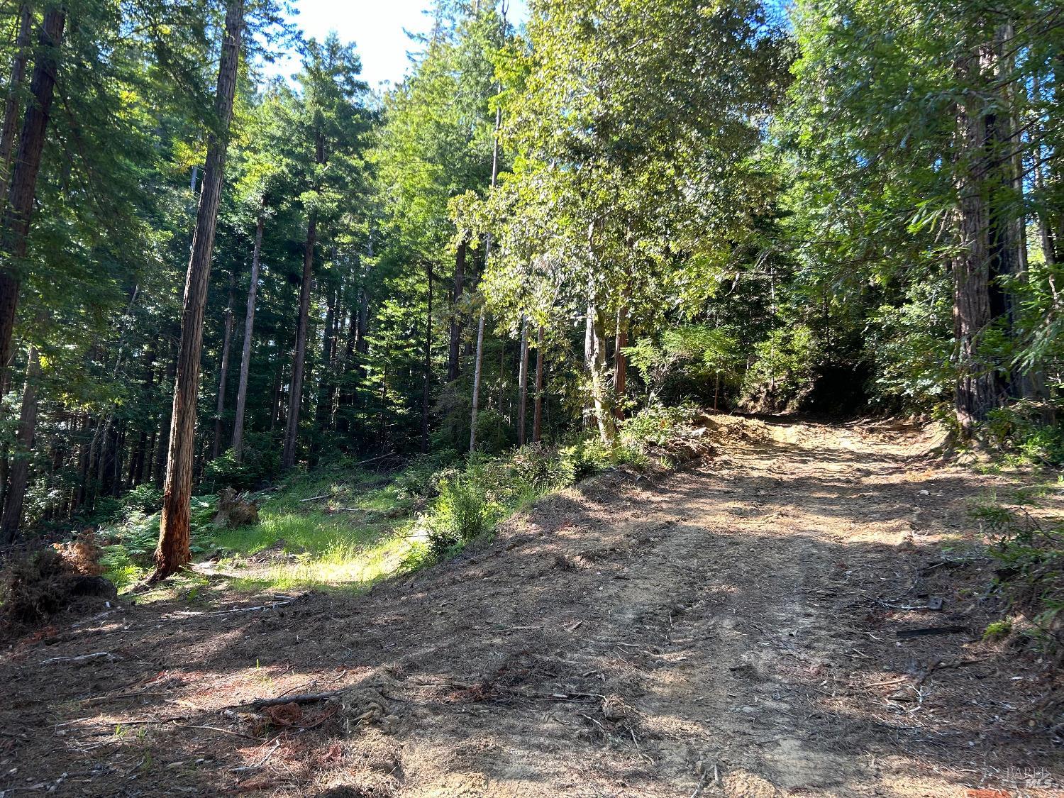 39700 Eureka Hill Road Point Arena, CA 95468 - Photo 2 of 11 a view of backyard with green space