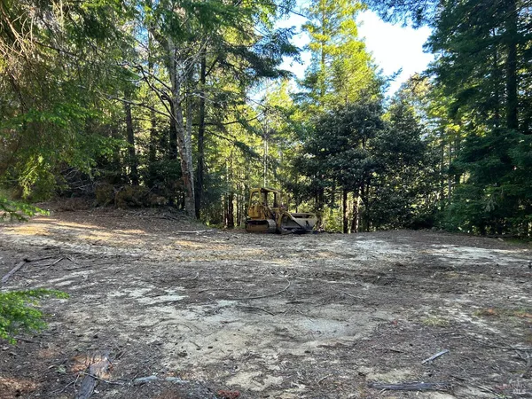 a view of a yard with a trees