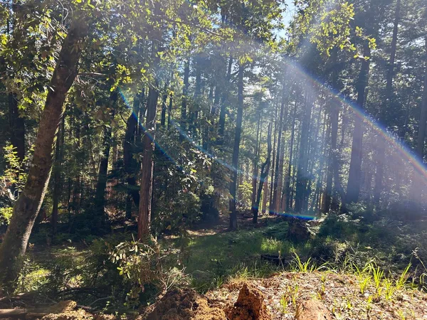 a backyard of a house with a yard and outdoor seating