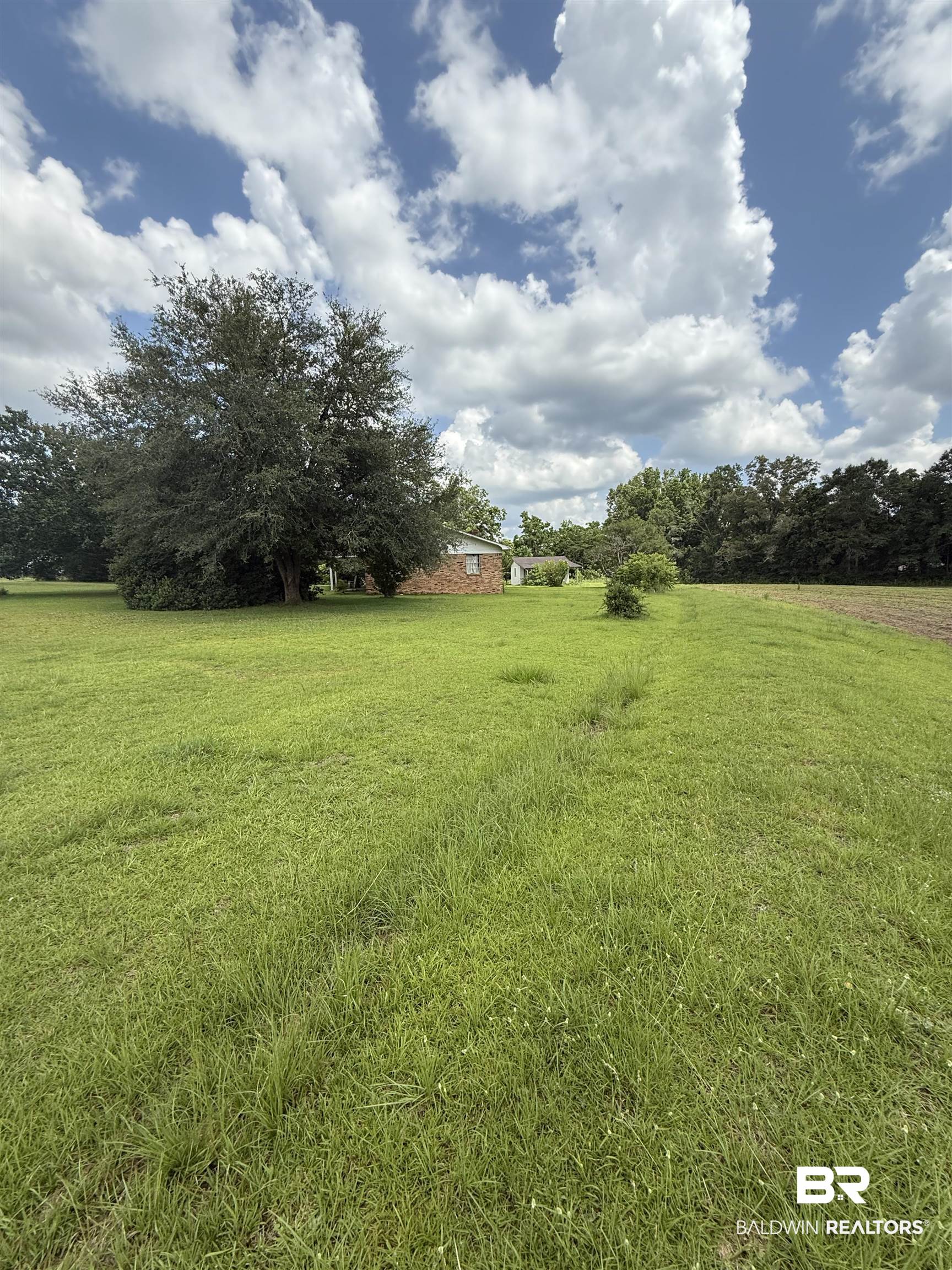 227 County Road 14 Range, AL 36473 - Photo 12 of 41