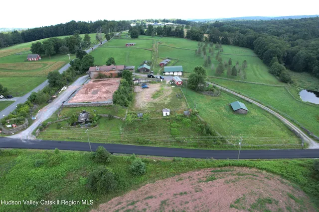 a view of a garden with a large tree