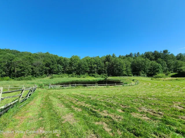 a view of a green field with trees in the background