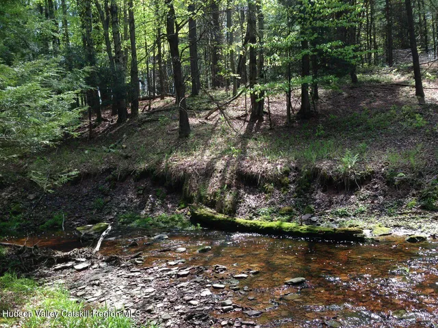 a view of a lake with a yard