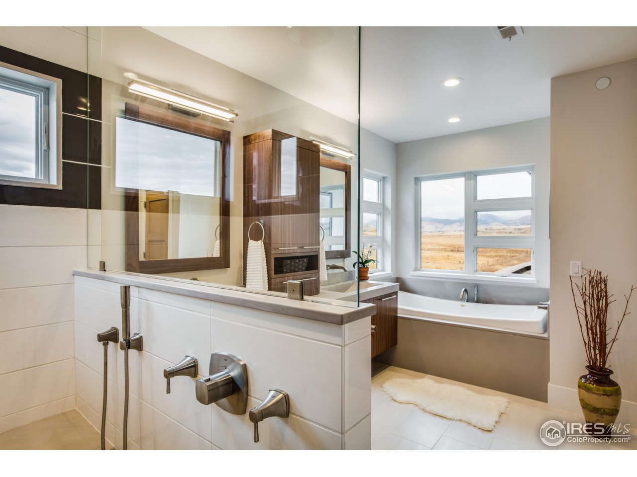 7412 Deerfield Road Longmont, CO 80503 - Photo 25 of 37 Spacious Walk-in Shower and Whirlpool Bath