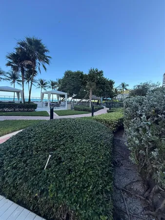 a view of green field with trees in the background
